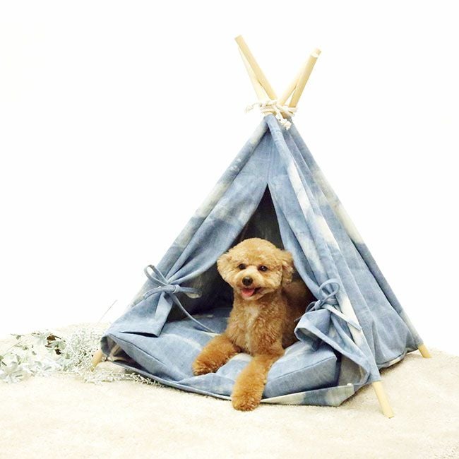 全商品 | paw's living