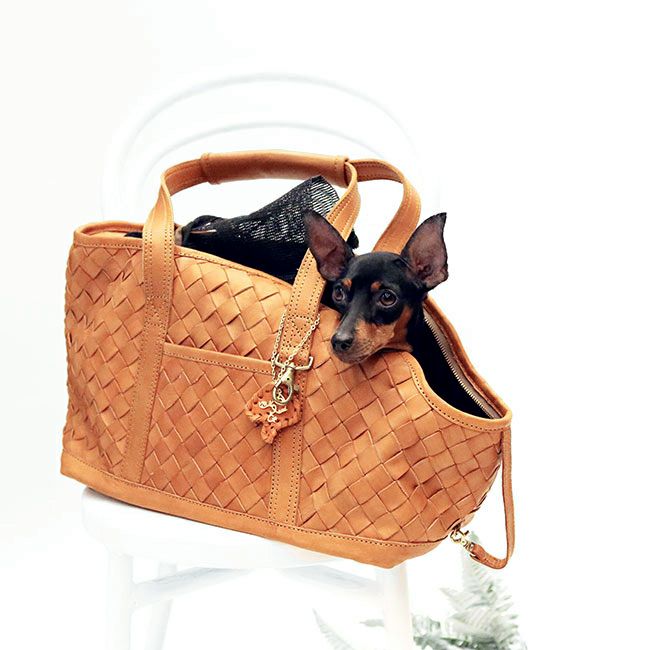 erva 別注】メッシュカバー付シンプルスリング | paw's living