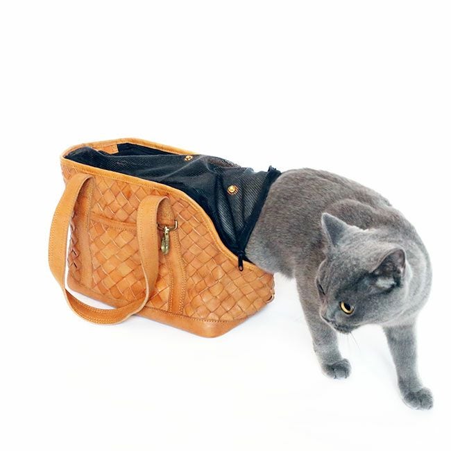 erva 別注】メッシュフード付きシンプルスリング | paw's living