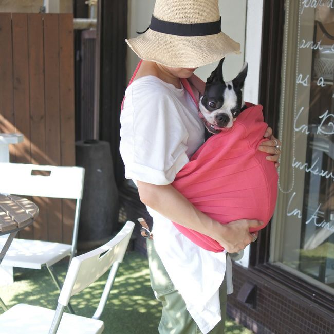 全商品 | paw's living