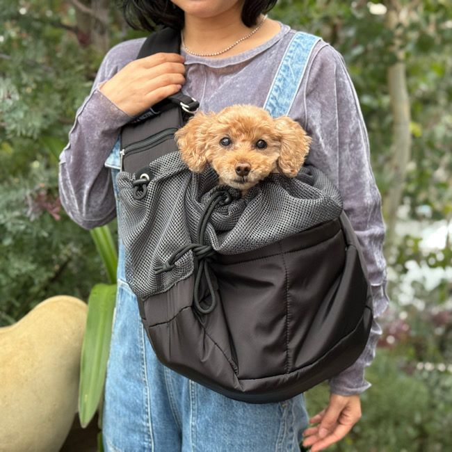 全商品 | paw's living