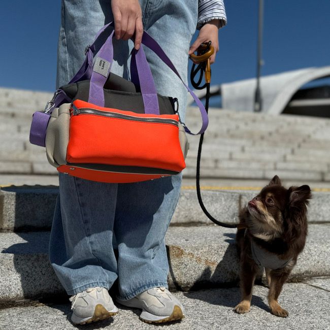 全商品 | paw's living