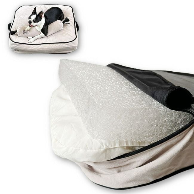 全商品 | paw's living