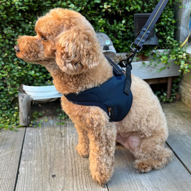 000000000334-01.jpg?size=l&w=