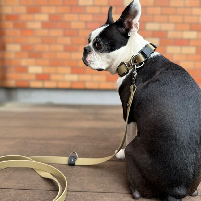 全商品 | paw's living