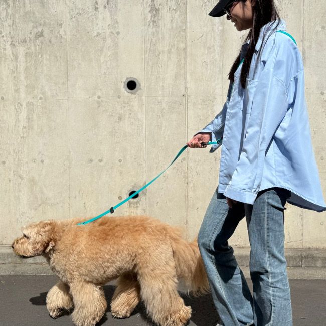 全商品 | paw's living