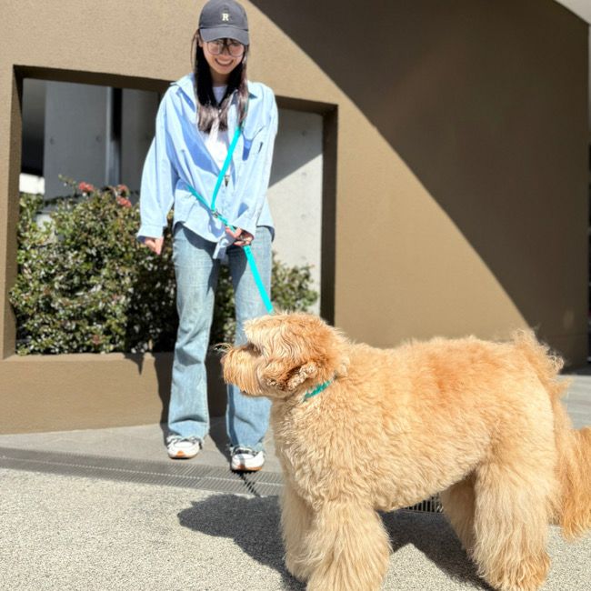 全商品 | paw's living