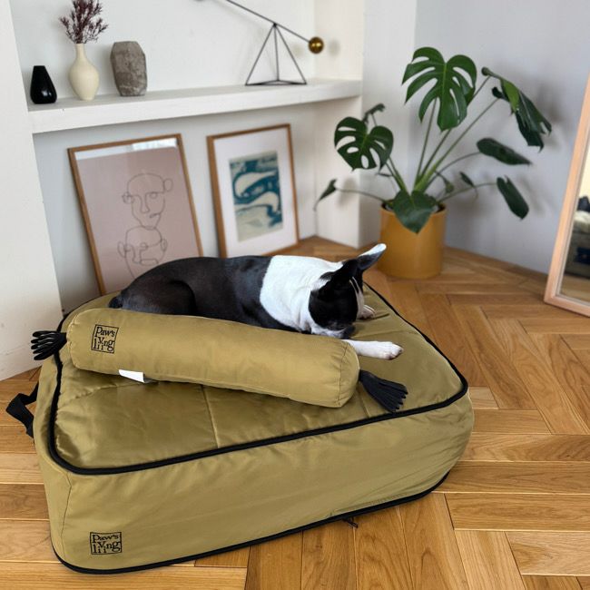 全商品 | paw's living