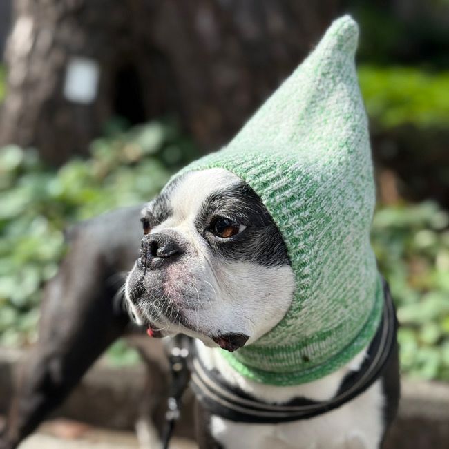 全商品 | paw's living