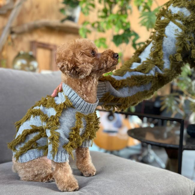 全商品 | paw's living