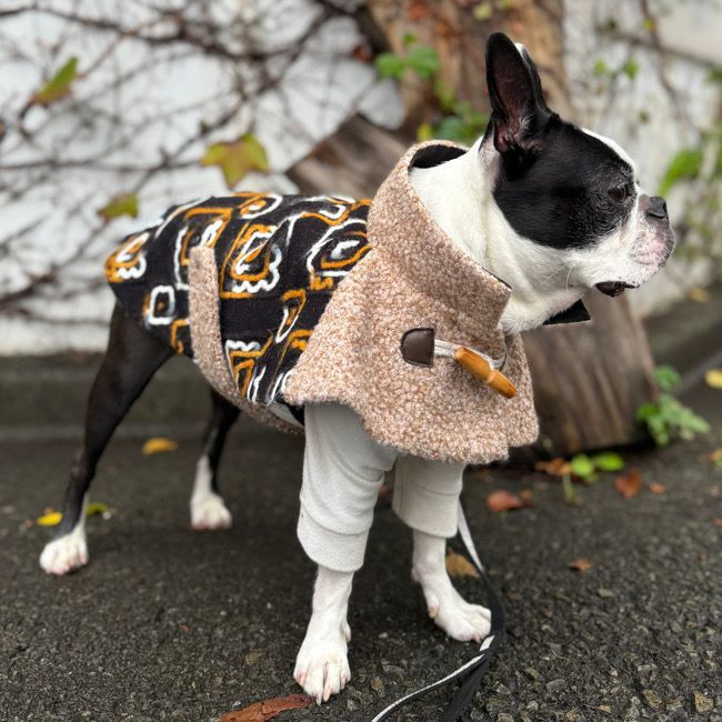 全商品 | paw's living