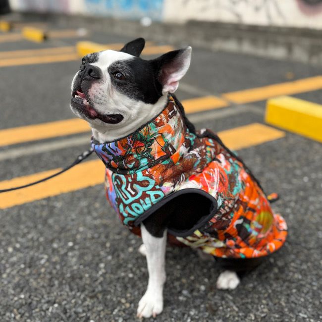 全商品 | paw's living
