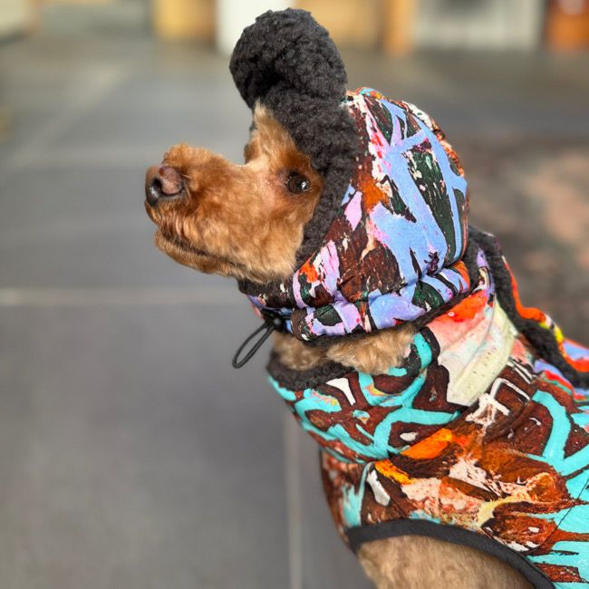 全商品 | paw's living