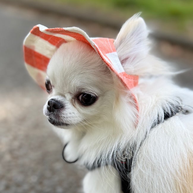 定価1.5万超★1点限フリーステッチ一番人気色！愛犬家が選ぶ大人気お散歩バッグS ALL | paw's living