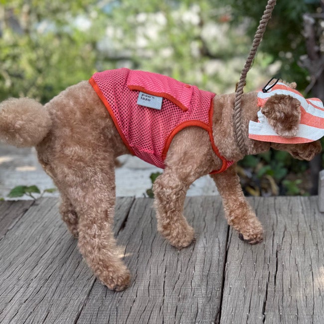 Owner | paw's living