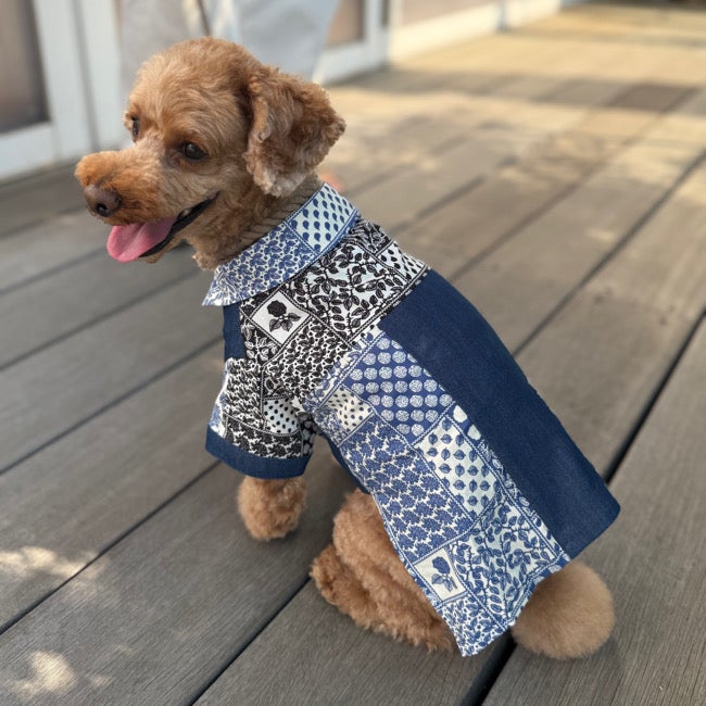 全商品 | paw's living