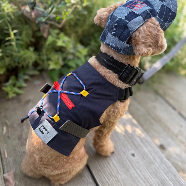 Dogs | paw's living