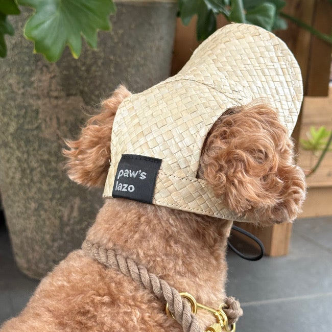 paw's lazo】osanpoバッグ brown paw's lazo】osanpoバッグ brown