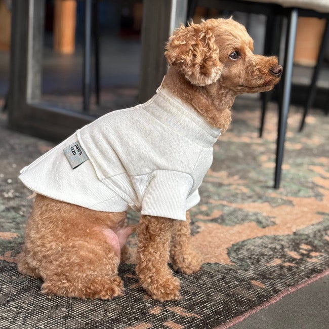 Dogs | paw's living