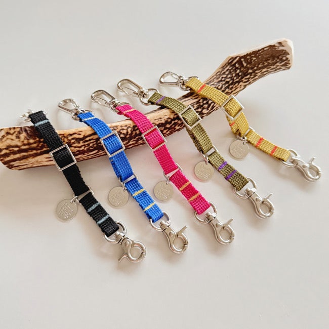 全商品 | paw's living